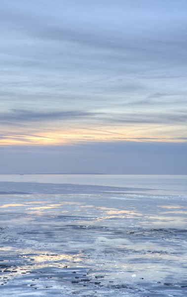 Sea Scape